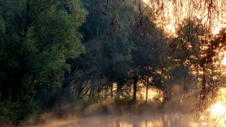 Hast du nie etwas geschehen lassen?