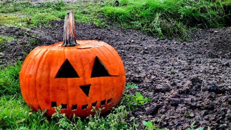 Offene Pforten zur Anderswelt