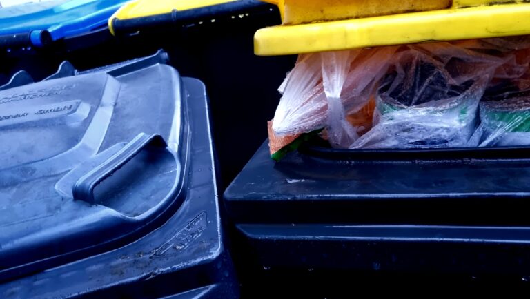 Es gibt Tage, da wünscht ich …