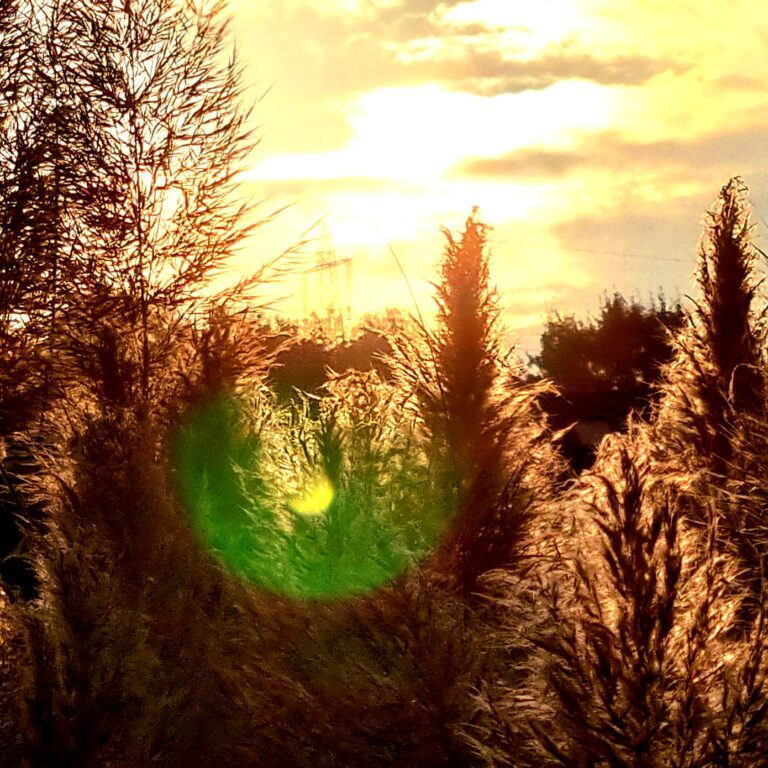 Beende den Krieg mit dir selbst!