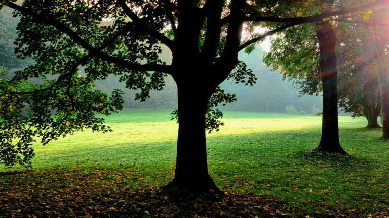 Wie möchtest du Leben?