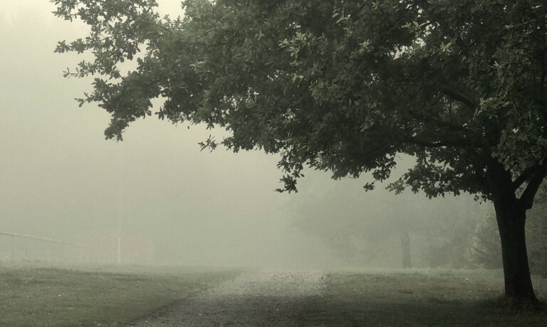 Wann Praxis besonders wichtig ist