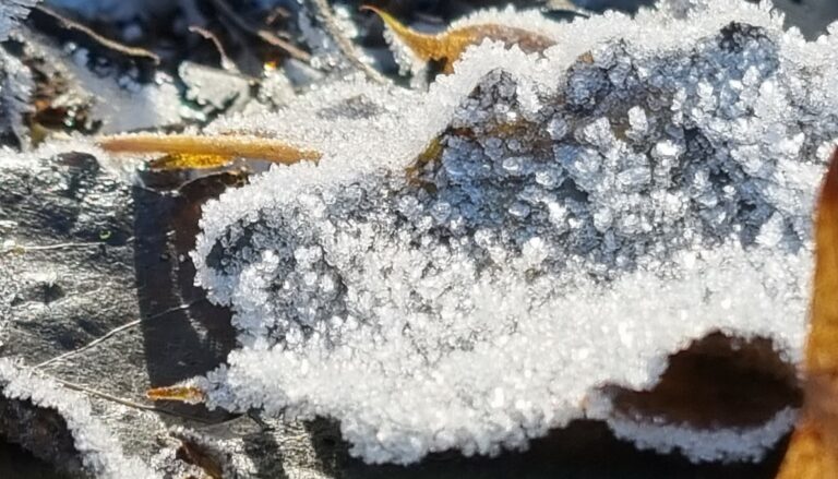 <strong>„Ich denk, es war ein gutes Jahr …“</strong>