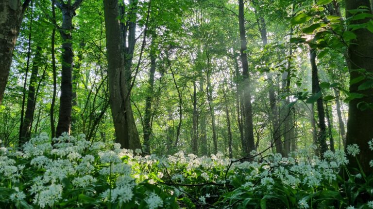 Es riecht nach Frühling