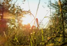 Die Lust, die uns zusteht