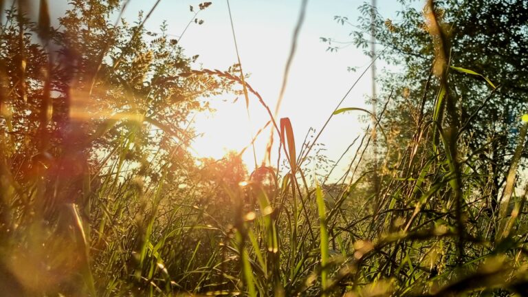 Die Lust, die uns zusteht