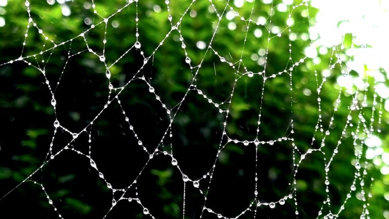 Wieso wir alle miteinander vernetzt sind