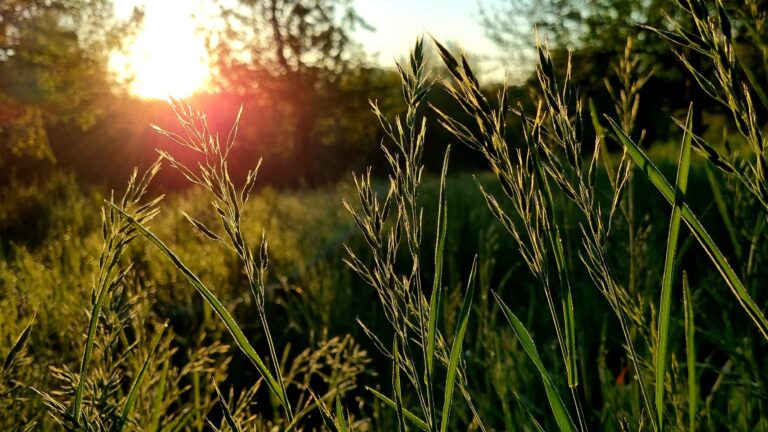 Loslassen, Beginn, bewusst