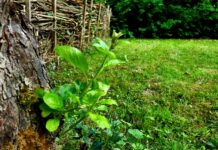 Einfach nicht aufgeben