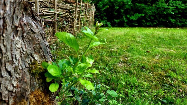 Einfach nicht aufgeben